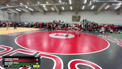 113 lbs Champ. Round 2 - Richard Avila, Regis Jesuit vs Carter Voitik, Northglenn