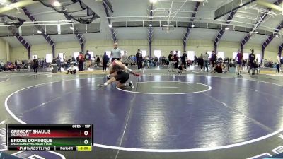 157 lbs Champ. Round 2 - Gregory Shaulis, Unattached vs Brodie Dominique, Unattached-Michigan State