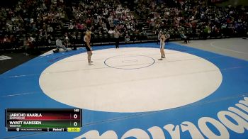 165 lbs Quarterfinal - Wyatt Hanssen, Wasatch vs Jaricho Haarla, Northridge