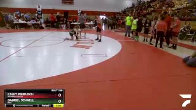 87-95 lbs Round 4 - Gabriel Schnell, HRA vs Casey Weibusch, Wiggins Youth