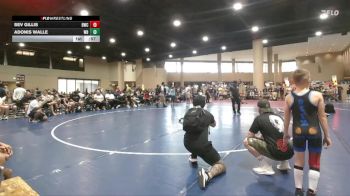 45 lbs Quarterfinal - Adonis Walle, Walle Boys vs Sev Gillis, Blackman Wrestling Club