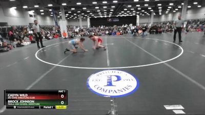 138 lbs Quarterfinal - Cadyn Wild, Big Game Wrestling Club vs Brock Johnson, Paola High School Wrestling