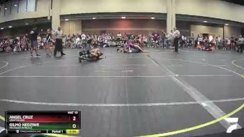 130 lbs Quarterfinal - Angel Cruz, Unattached vs Gilmo Nedziwe, Michigan Pitbulls