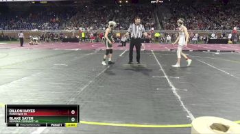 D4-120 lbs Champ. Round 1 - Blake Sayer, Hesperia Community HS vs Dillon Hayes, Manistique HS