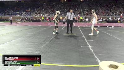 D4-120 lbs Champ. Round 1 - Blake Sayer, Hesperia Community HS vs Dillon Hayes, Manistique HS