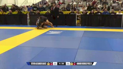 Armando Rodriguez Perez Jr. vs Steven Alexander Galvez 2024 World IBJJF Jiu-Jitsu No-Gi Championship