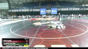 86 lbs Champ. Round 1 - Liam Clark, Mat Rats Rebooted Wrestling vs Connor Gallion, Cascade Christian Wrestling Club