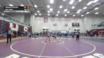 115 lbs Semifinal - Adriana Hartzell, New Plymouth vs Amy Twait, Meridian