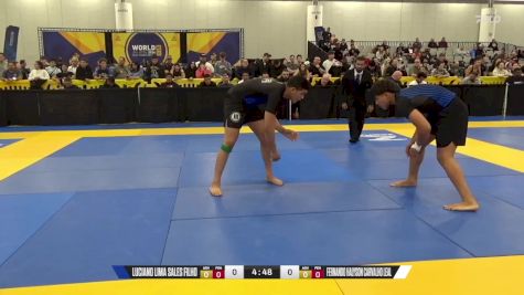 Fernando Halyson Carvalho Leal vs Luciano Lima Sales Filho 2024 World IBJJF Jiu-Jitsu No-Gi Championship