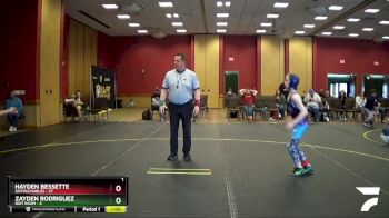 85 lbs Round 5 (6 Team) - Zayden Rodriguez, Riot Room vs Hayden Bessette, Untouchables