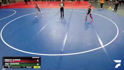 85 lbs Semis & 1st Wrestleback (8 Team) - Breezy Garner, Albert Lea vs Trey Kraemer, Rocori