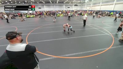 61 lbs Cons. Round 1 - Connor Levy, Unattached vs Ridge Hale, Unattached