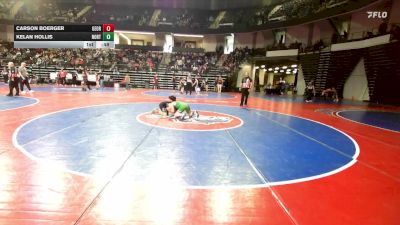 120 lbs Quarterfinal - Carson Boerger, Georgia vs Kelan Hollis, North Hall Jr Trojans