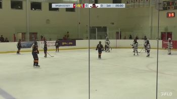 Replay: Home - 2023 Colts U12 AAA vs Ottawa Valley U12 | Nov 24 @ 7 PM