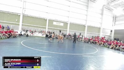 126 lbs Round 1 (8 Team) - Gage Spurgeon, Iowa vs Alois Schlumpf, Wisconsin