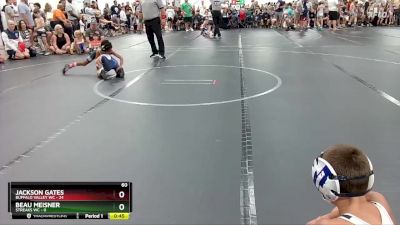 60 lbs Round 1 (6 Team) - Jackson Gates, Buffalo Valley WC vs Beau Meisner, Streaks WC