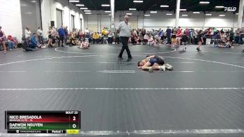 76 lbs Round 6 (8 Team) - Nico Bresadola, Brawler Elite vs Daewon Nguyen, Headhunters