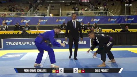 Pedro Galvao Goncalves vs Dario Provost 2026 Pan Jiu Jitsu IBJJF Championship