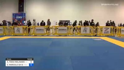 ALEXANDRE FARIA MOLINARO vs GIOVANNI MARCELO DA SILVA CARVAL 2020 Atlanta International Open IBJJF Jiu-Jitsu Championship