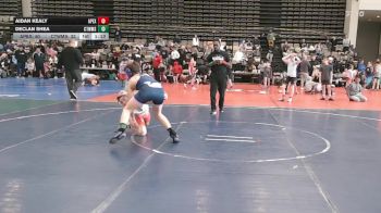 131 lbs Rr Rnd 5 - Aidan Kealy, Dark Horse/Apex - ESE vs Declan Shea, CT Whale Beluga - ESE