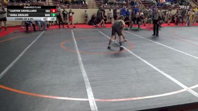 120_B lbs Consi Of 8 #2 - Carter Crivellaro, Crestwood vs Shea Ziegler, Manheim Central