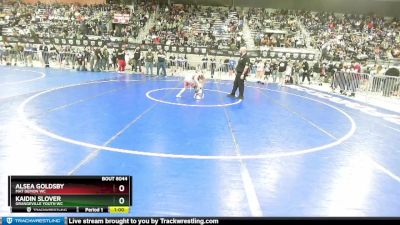 75 lbs Round 2 - Kaidin Slover, Grangeville Youth WC vs Alsea Goldsby, Mat Demon WC