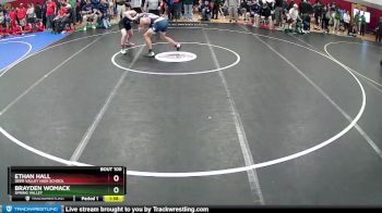 144 lbs Champ. Round 1 - Ethan Hall, Deer Valley High School vs Brayden Womack, Spring Valley