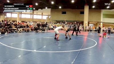 138 lbs Round 2 (6 Team) - Walker Bischoff, Skull & Crossbones vs Eli Roberts, BRAWL White