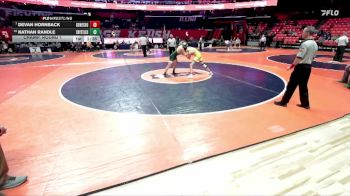 2A 132 lbs Champ. Round 1 - Devan Hornback, Geneseo vs Nathan Randle, Crystal Lake (South)