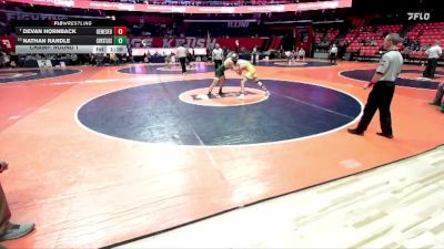 2A 132 lbs Champ. Round 1 - Devan Hornback, Geneseo vs Nathan Randle, Crystal Lake (South)