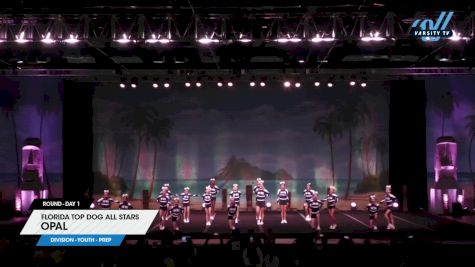 Florida Top Dog All Stars - Opal [2025 L1.1 Youth - PREP Day 1] 2025 The American Open Orlando Nationals