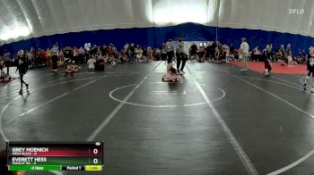 48 lbs Round 3 (6 Team) - Everett Hess, Pursuit WC vs Grey Moenich, WEG3 Black