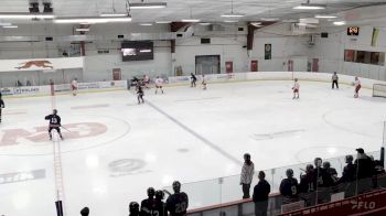 Replay: Home - 2024 Blues U18 A vs ND Hounds U18 A | Feb 25 @ 2 PM