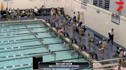 Replay: Wagner College vs Southern Connectic - 2024 Wagner vs SCSU | Nov 1 @ 5 PM
