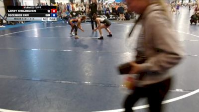 110 lbs Quarterfinal - December Paw, Hawkeye Community College vs Lainey Shelangoski, Wartburg