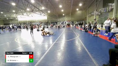 175 lbs Semifinal - Elijah Mangrum, Sanderson vs Adreian Briceno, Millard