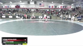 133 lbs Champ. Round 3 - Maximus Shore, Tiffin vs Ethan McCullough, Newberry