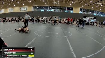 72 lbs Round 1 (6 Team) - Mikey Butler, SouthWest Elite vs Gabe Peace, Quest