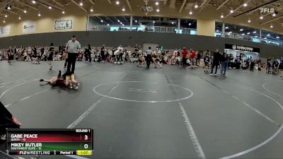 72 lbs Round 1 (6 Team) - Mikey Butler, SouthWest Elite vs Gabe Peace, Quest