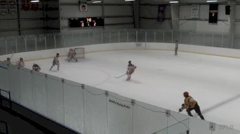 Replay: Home - 2025 Mole Tbirds vs Bucket Pink | Jul 17 @ 10 AM