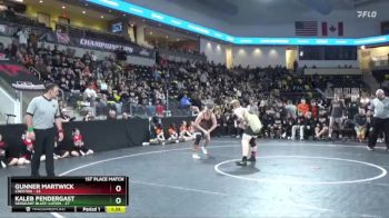 175 lbs Finals (1st & 3rd) - Kaleb Pendergast, Sergeant Bluff-Luton vs Gunner Martwick, Creston