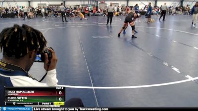 Elite 125 lbs Cons. Round 2 - Chris Sitter, Augustana (IL) vs Raio Hamaguchi, Wartburg