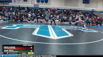 113 lbs Champ. Round 1 - Noah Ludwig, White Bear Lake Area vs Dane Krull, Chaska-Chan Stormhawks