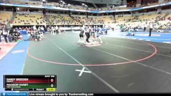 105 Class 2 lbs Quarterfinal - Sandy Breeden, Liberty vs Madison Haney, Troy Buchanan