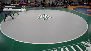 247-263 lbs 3rd Place Match - Kerrion LeFlore, St.Louis vs Payton Vigna, Individual