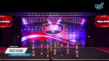 Valley All-Stars - Wild Stars [2023 L4 Senior Coed - D2 Day 1] 2023 ACP Southern Nationals