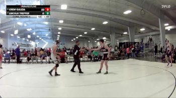 148 lbs Cons. Round 4 - Lincoln Treffer, Adams Central vs Crew Gulizia, Auburn