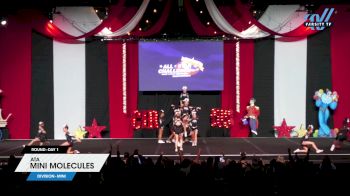 ATA - Mini Molecules [2024 L2 Mini Day 1] 2024 ASC Battle Under the Big Top Grand Nationals