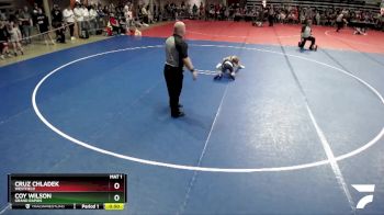 65 lbs Cons. Semi - Cruz Chladek, Westfield vs Coy Wilson, Grand Rapids