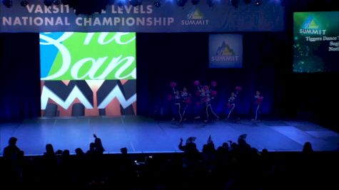 Tiggers Dance Team - Tiggers (Japan) [2019 Small Youth Pom Finals] 2019 The Summit